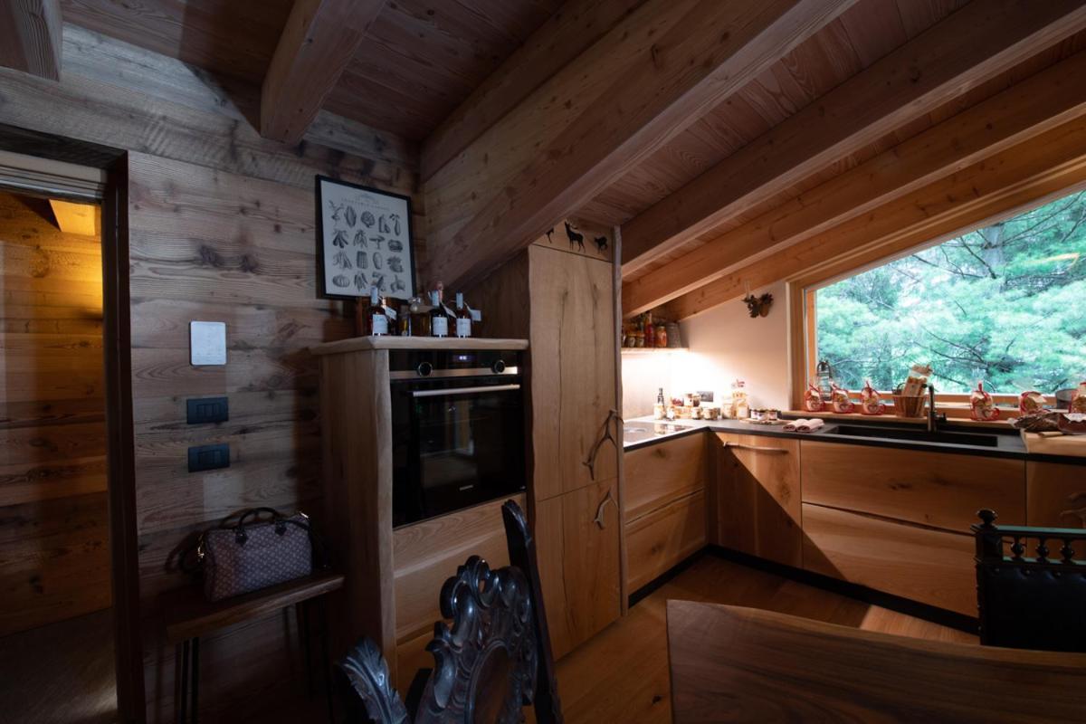 Chalet Degli Abeti By Ama Val Di Fassa กัมปีเตลโลดีฟัสซา ภายนอก รูปภาพ